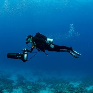Close view of a diver riding an underwater scooter in blue water, Shaab Samadai Kebir, Red Sea, Egypt