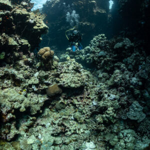 Diver at the end of a narrow reef canyon under the surface, Gota Elba, Red Sea, Egypt