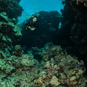 Diver in a reef canyon framed by coral walls, Gota Elba, Red Sea, Egypt