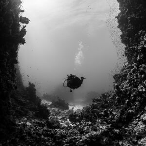 Black and white diver silhouetted in a reef canyon, vertical, Fasma Tutana, Red Sea, Egypt
