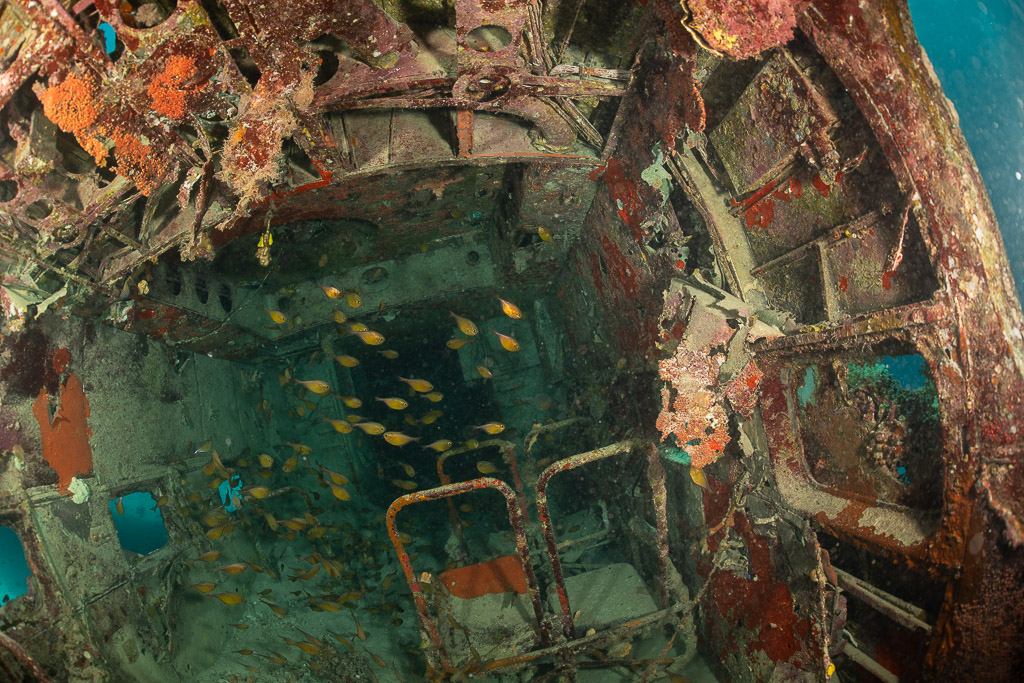 Balayeurs pygmées dans le cockpit rouillé d’une épave d’hydravion, épave du Grumman HU-16 Albatross, mer Rouge, Égypte