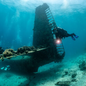 Diver with torch at the tail of a seaplane wreck with coral growth, Grumman HU-16 Albatross wreck, Red Sea, Egypt
