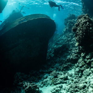 Diver above the dark hull of a wreck against the reef, vertical, Sabri Baba 1 wreck, Red Sea, Egypt