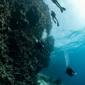 Divers along a coral wall seen from below, vertical, Sabri Baba 1 wreck, Red Sea, Egypt