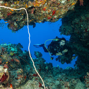 Diver framed by reef arch with whip coral in foreground, Shaab Maksour South, Red Sea, Egypt