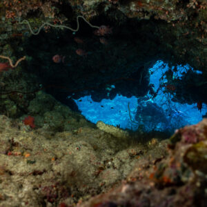 Dark cave entrance opening onto blue water with whip coral, Shaab Maksour South, Red Sea, Egypt