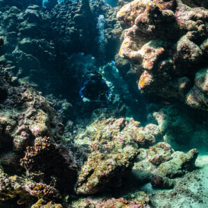 Diver partly hidden among coral boulders inside cave, Shaab Claudio, Red Sea, Egypt