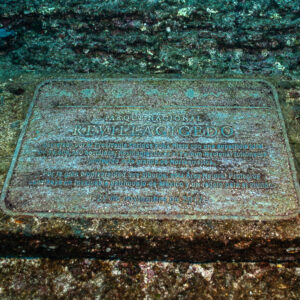 Underwater bronze plaque of Revillagigedo National Park set in the rock, El Boiler (San Benedicto), Revillagigedo, Mexico