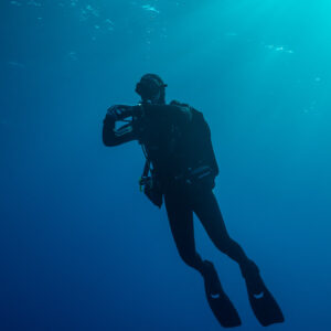 Diver silhouette at safety stop in blue water at dusk, vertical frame, Roca Partida, Revillagigedo, Mexico