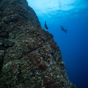 Shark and diver beside a towering rock wall rising to the surface, vertical, Roca Partida, Revillagigedo, Mexico