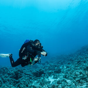 Rebreather diver gliding over a sloping reef in open blue water, Safaga, Red Sea, Egypt
