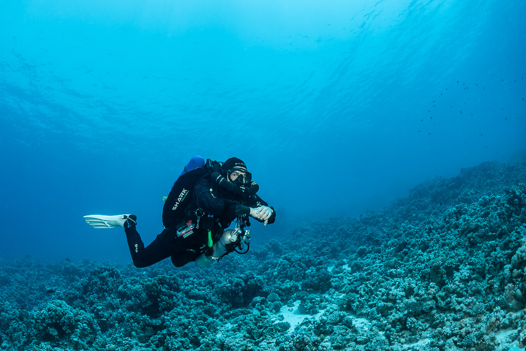 Rebreather diver gliding over a sloping reef in open blue water, Safaga, Red Sea, Egypt