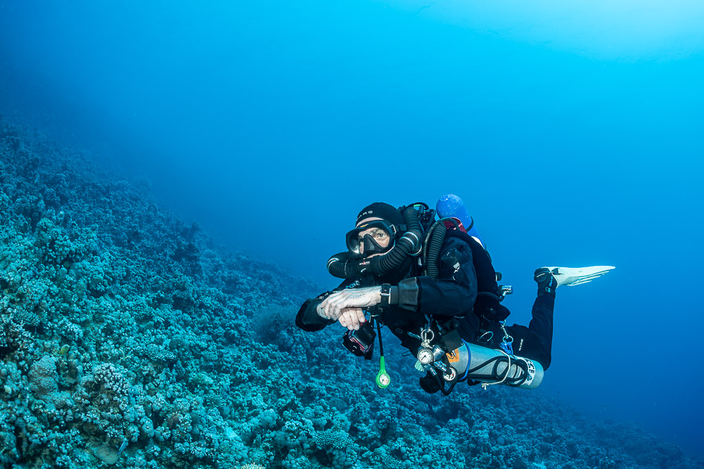 Rebreather diver approaching the camera over a coral slope, Safaga, Red Sea, Egypt