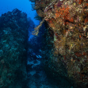 Narrow reef crevice with encrusted walls, vertical view, Safaga, Red Sea, Egypt