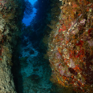 Deep crevice between two reef walls rich in red encrustations, Safaga, Red Sea, Egypt