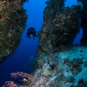 Diver framed between two reef spurs with a red gorgonian, Safaga, Red Sea, Egypt