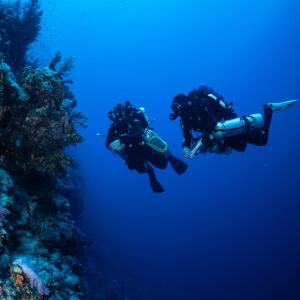 Two rebreather divers side by side along a deep reef wall, Safaga, Red Sea, Egypt