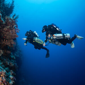 Two rebreather divers facing each other beside a reef wall, Safaga, Red Sea, Egypt
