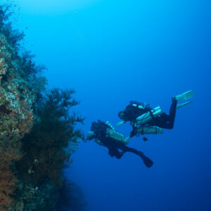 Two rebreather divers descending along a reef wall into the blue, Safaga, Red Sea, Egypt