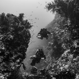 Black-and-white pair of divers inside a reef canyon, Safaga, Red Sea, Egypt