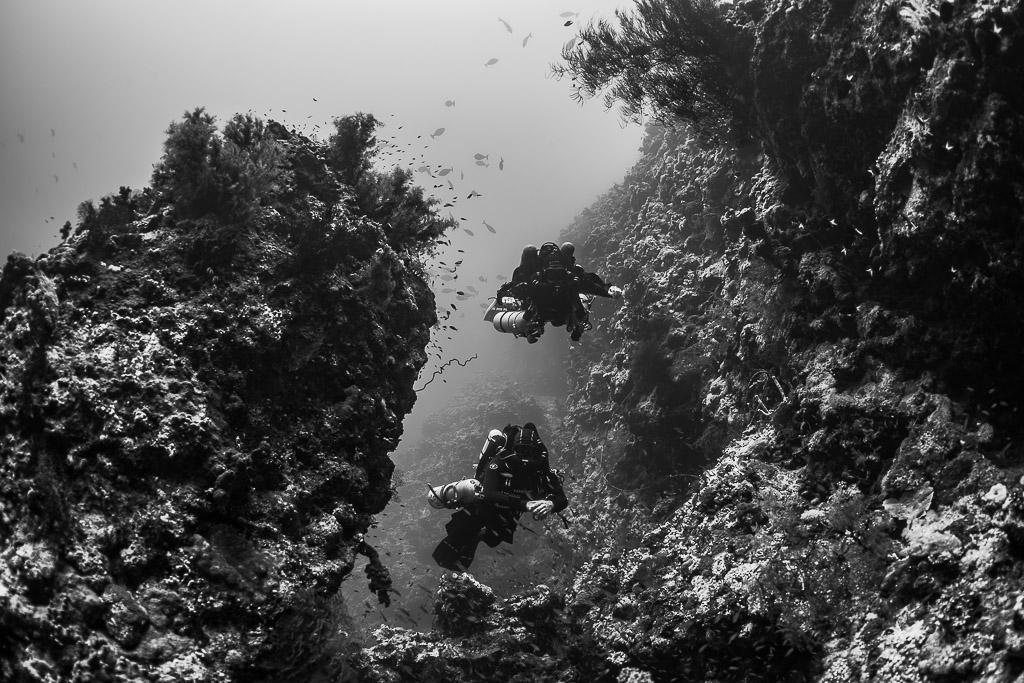 Black-and-white pair of divers inside a reef canyon, Safaga, Red Sea, Egypt