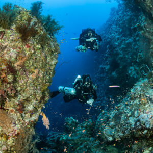Two rebreather divers beside a sponge-covered reef pillar, Safaga, Red Sea, Egypt