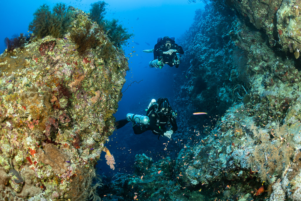 Two rebreather divers beside a sponge-covered reef pillar, Safaga, Red Sea, Egypt