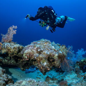 Rebreather diver with torch above a soft coral outcrop, Safaga, Red Sea, Egypt