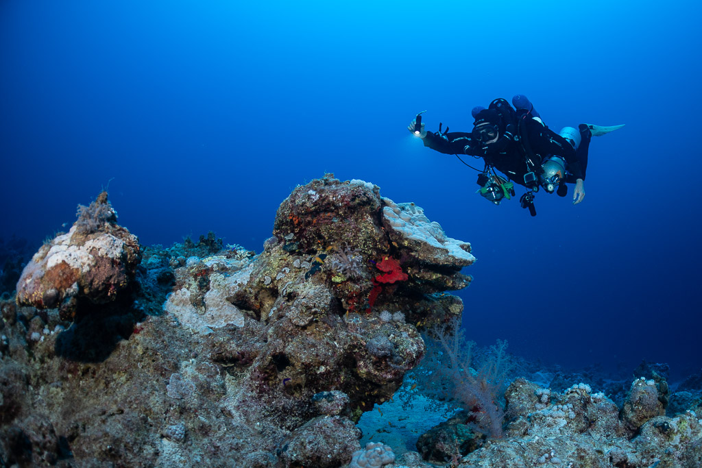 Rebreather diver with torch approaching a reef outcrop in deep blue, Safaga, Red Sea, Egypt