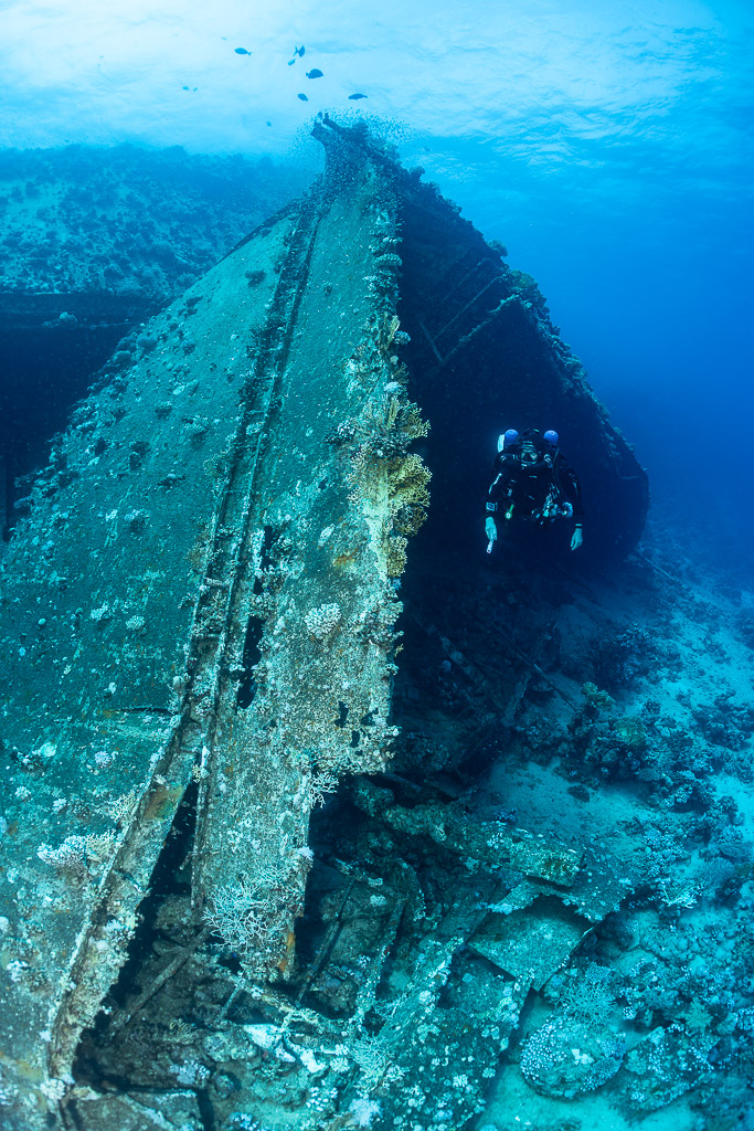 Overturned hull of the Al Kahfain wreck with a diver, vertical view, Al Kahfain wreck, Red Sea, Egypt