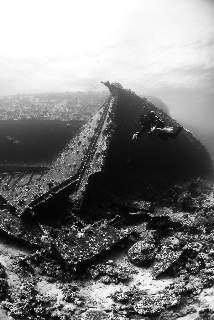 Black-and-white wreck hull rising towards the surface with diver, Al Kahfain wreck, Red Sea, Egypt