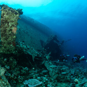 Divers near a coral-encrusted wreck structure, Al Kahfain wreck, Red Sea, Egypt