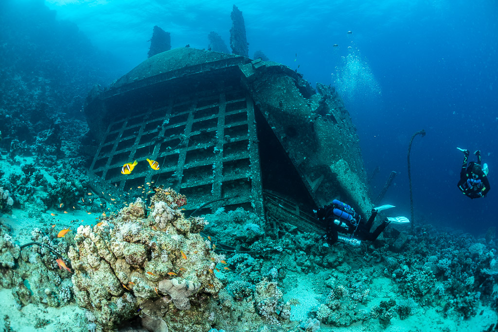 Grid structure of the wreck with butterflyfish and divers, Al Kahfain wreck, Red Sea, Egypt