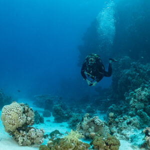 Scuba diver swimming along a reef edge above white sand, Safaga, Red Sea, Egypt