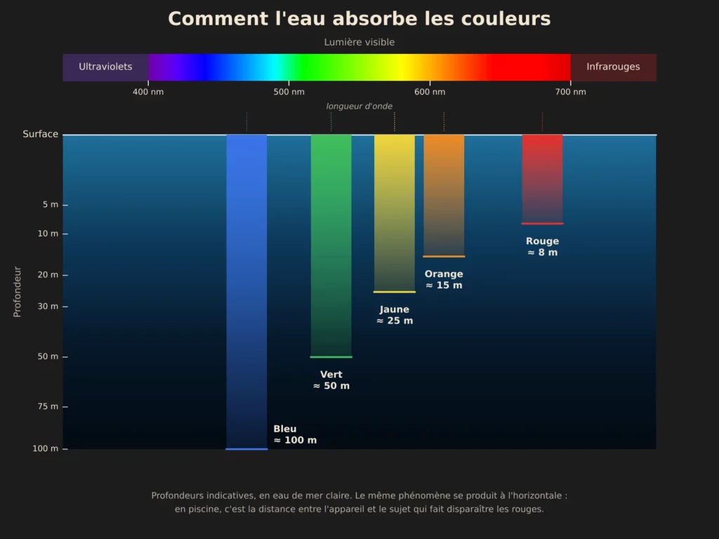 Schéma : profondeur à laquelle chaque couleur disparaît sous l'eau
