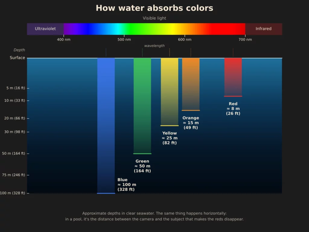 Diagram: the depth at which each color disappears underwater