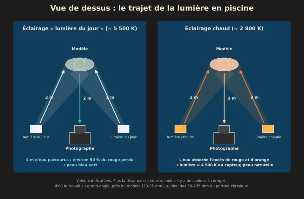 Schéma vu de dessus : trajet de la lumière entre les éclairages, le modèle et l'appareil