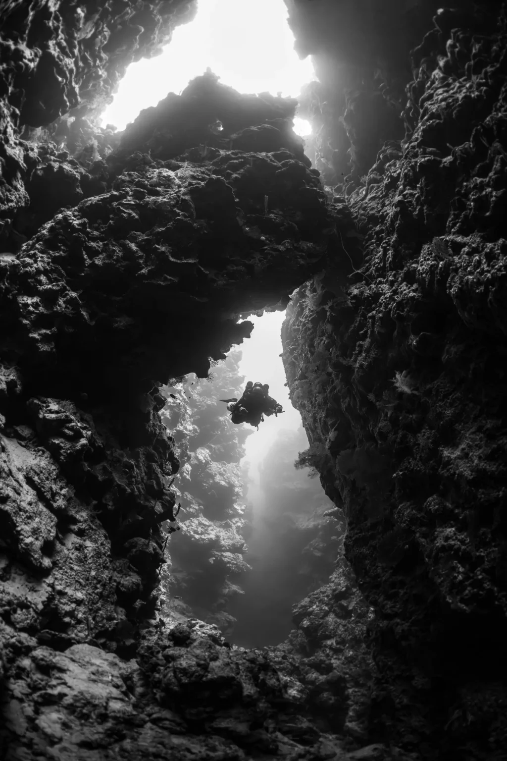 Plongeur au recycleur photographié à 51 mètres de profondeur en mer Rouge