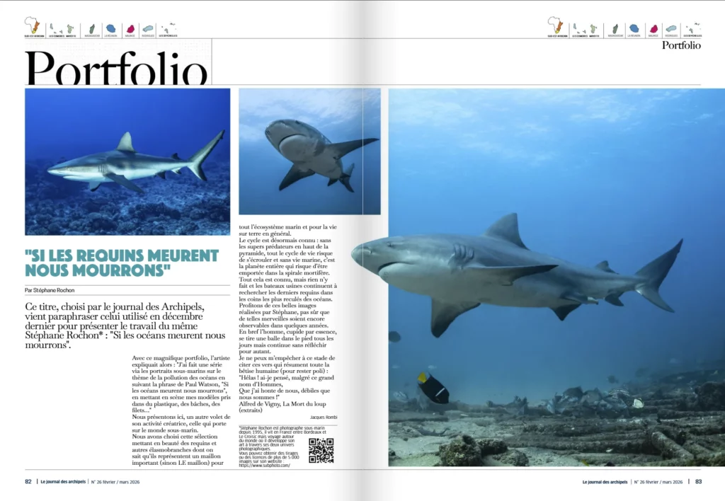 Portfolio requins, Archipels n° 26