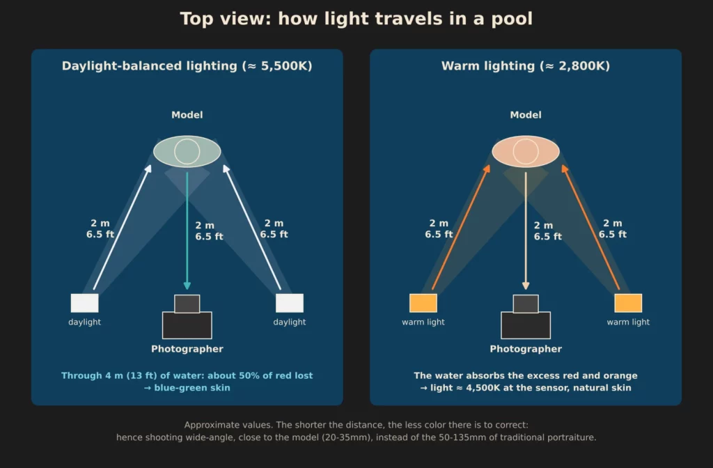 Top-view diagram: the path of light between the lights, the model and the camera